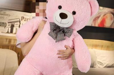 80cm Cheap Cute Big Teddy Bear (4)