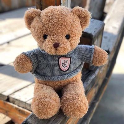 Custom Teddy Bear With Different Colors T-shirt (7)