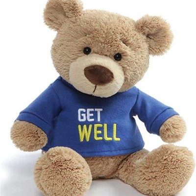 Customized Logo Get Well T-shirt Teddy Bear (5)