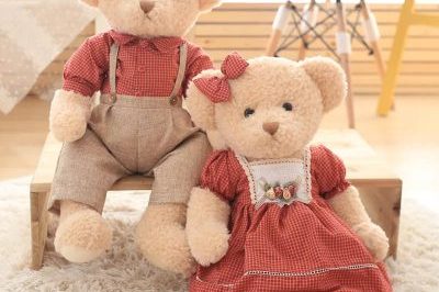 Cute Animals plush Teddy bear With clothes (6)