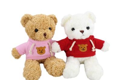 Cute Customized Logo Teddy Bear Toy With Clothes (3)
