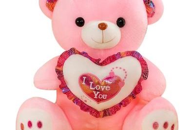 Cute Pink Red Teddy Bear With I Love You (6)