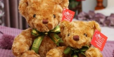Cute Teddy Bear With Decoration Promotion Gift (6)