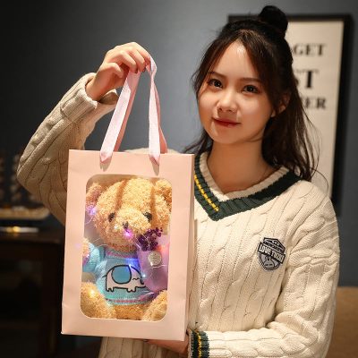 Factory Custom Teddy Bear With Clothes (3)