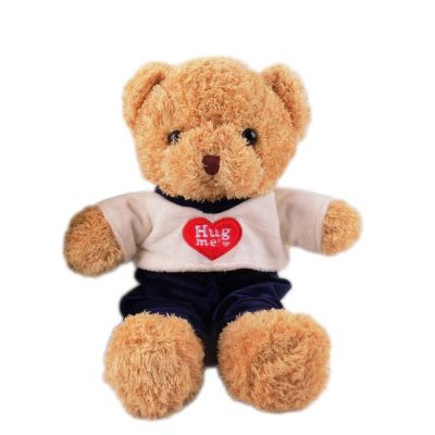 Online Custom Plush Teddy Bear For Sale (1)