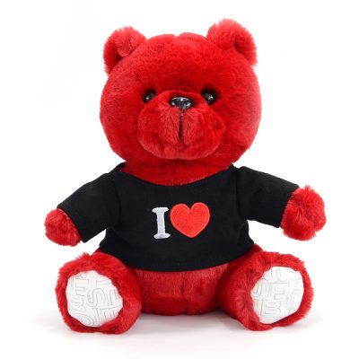Teddy Bear With Clothes For Girlfriend Birthday Gift (6)