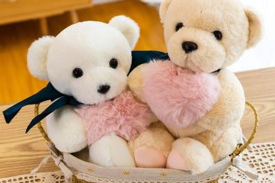 Valentine’s Day Gift Big Cuddle Teddy Bear Toys (5)