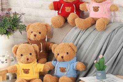 Wholesale Cute Soft Plush Teddy Bear With Clothes (1)