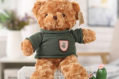 Wholesale Cute Soft Plush Teddy Bear With Clothes (4)