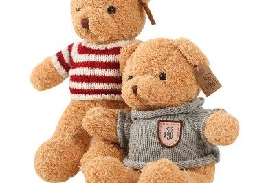 Wholesale Cute Soft Plush Teddy Bear With Clothes (5)