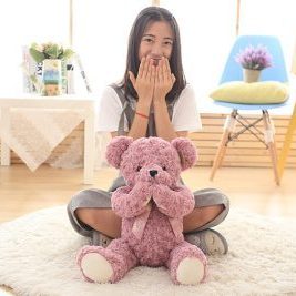Wholesale Rose Velvet Seven Magnets Teddy Shy Bear (4)