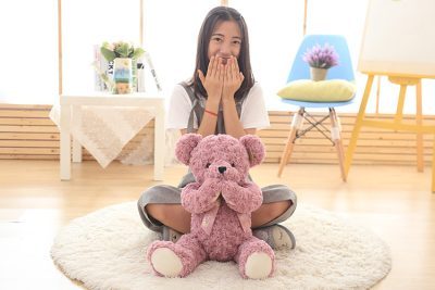 Wholesale Rose Velvet Seven Magnets Teddy Shy Bear (4)
