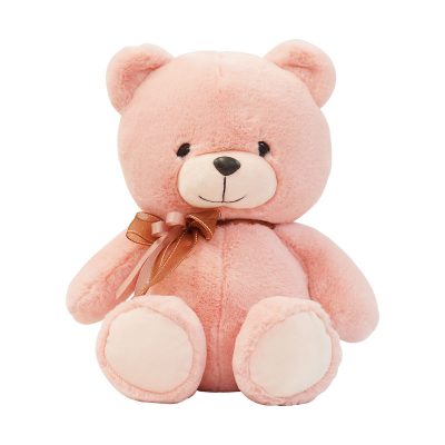Wholesale Super Cute OEM ODM Available Teddy Bear (3)
